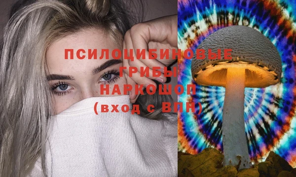 метадон Липки