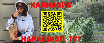 спайс Берёзовский