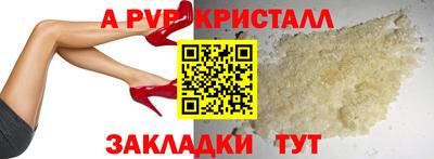 спайс Берёзовский