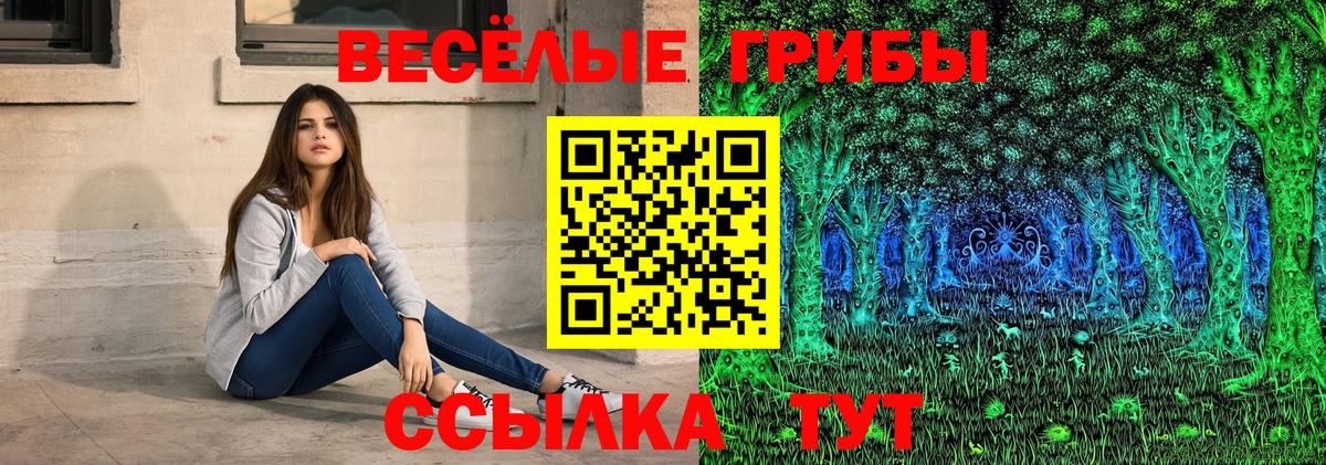 Волжский  Псилоцибиновые грибы GOLDEN TEACHER  Вход с VPN 