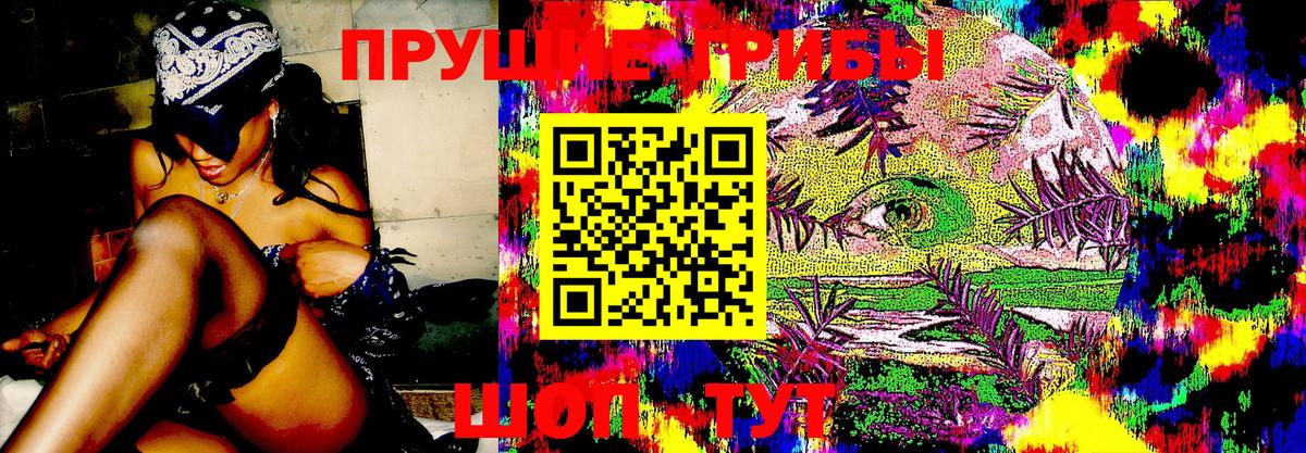 Псилоцибиновые грибы мухоморы Волжский